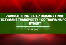 Zarobaczona soja z Ukrainy i inne zatrzymane transporty – co trafia na polski rynek?