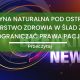 Medycyna naturalna pod ostrzalem. Ministerstwo Zdrowia w slad za WHO chce ograniczac prawa pacjentow 80x80