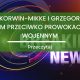 Janusz Korwin Mikke i Grzegorz Braun razem przeciwko prowokacjom wojennym 80x80